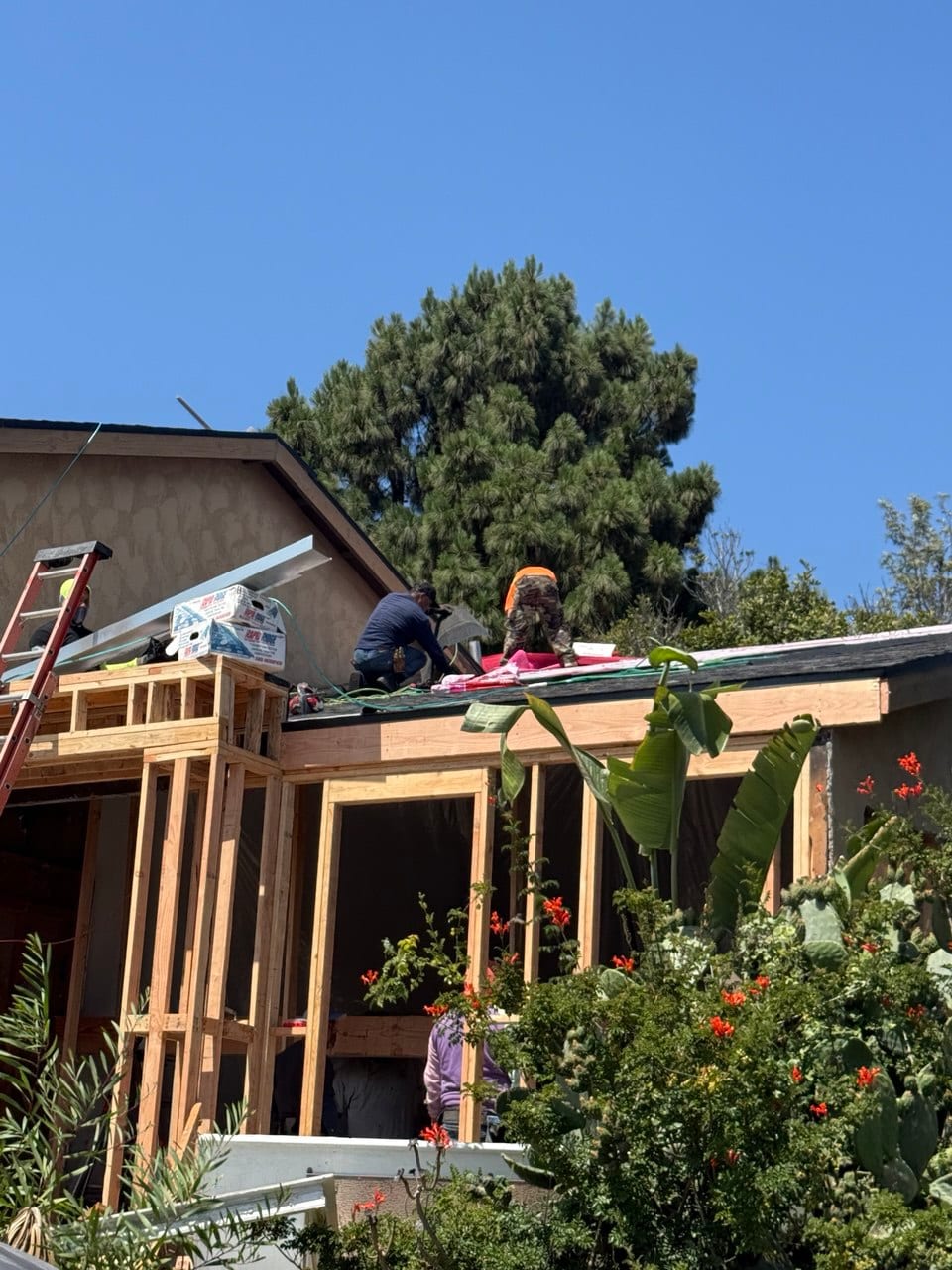 Mid-project framing with the rear garden frame closing in.